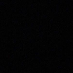 Meet your Posher, Dani